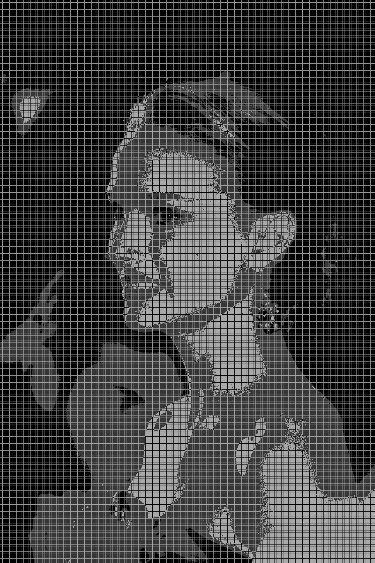 Digital - 2016 drawing